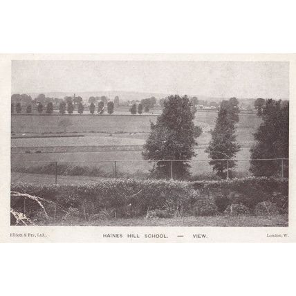 Haines School Twyford Reading Antique Postcard