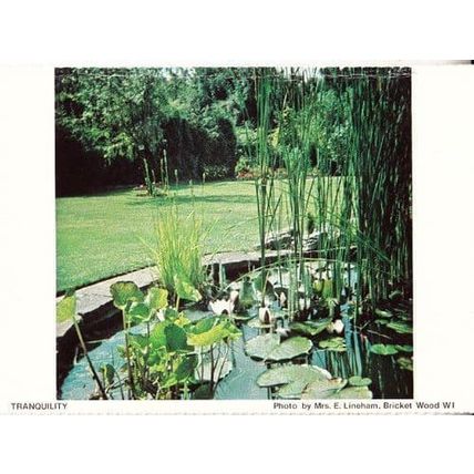 Bricket Wood Village Garden Gardens Pond Hertfordshire Womens Institute Postcard