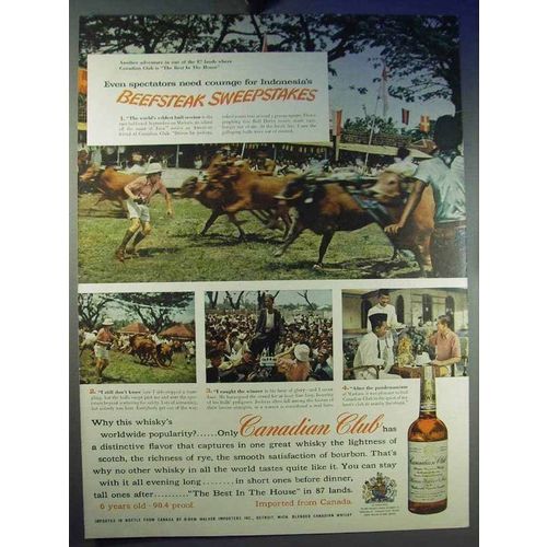 1956 Canadian Club Whisky Ad - Beefsteak Sweepstakes
