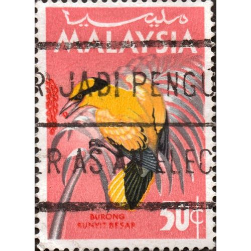 MALAYSIA, BIRDS, Black naped Oriole, 1965 light red, 50 c