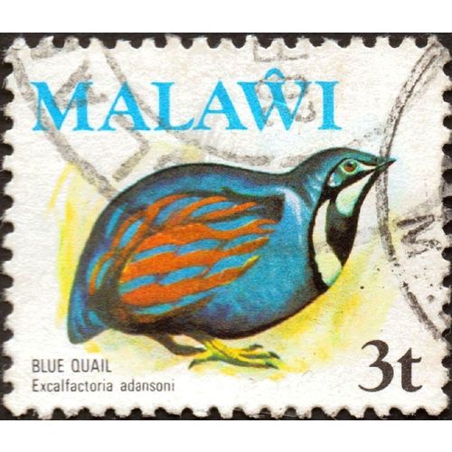 MALAWI, BIRDS, Blue Quail, 1980, 3t