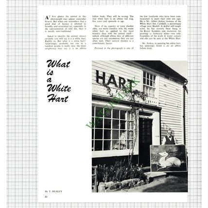 9489) The White Hart Inn Catsfield Sussex Mr Albert Stokes -1965 Article