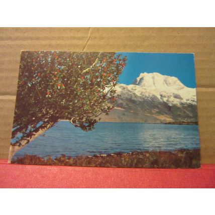 LOCH MAREE & snow-capped SLIOCH Wester Ross used postcard 1971 pm =