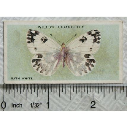 1927 Wills British Butterflies No. 42 Bath White