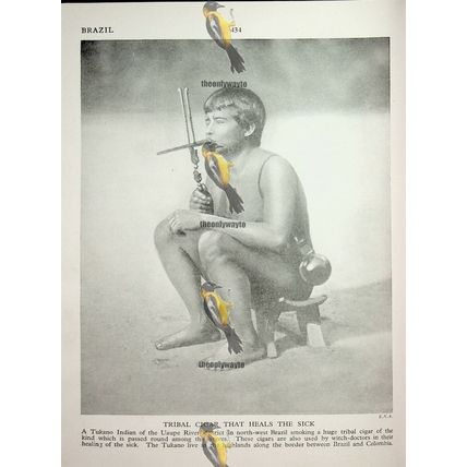 Ucayali Indian & Baby, Brazil (Tribal Tukano Cigar On Back), Book Illustration