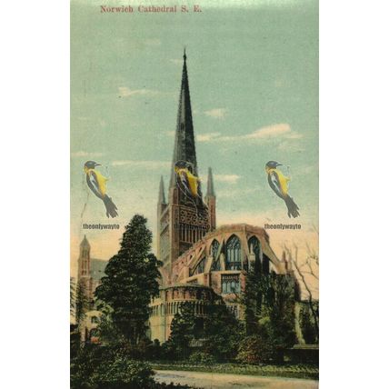 Norwich Cathedral SE, Norfolk, 2710 Milton Glazette Postcard, 1907