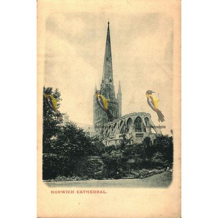 Norwich Cathedral, Norfolk, Undivided Back Postcard, 1900/10s