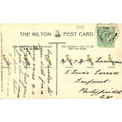 Norwich Cathedral SE, Norfolk, 2710 Milton Glazette Postcard, 1907