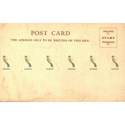 Norwich Cathedral, Norfolk, Undivided Back Postcard, 1900/10s