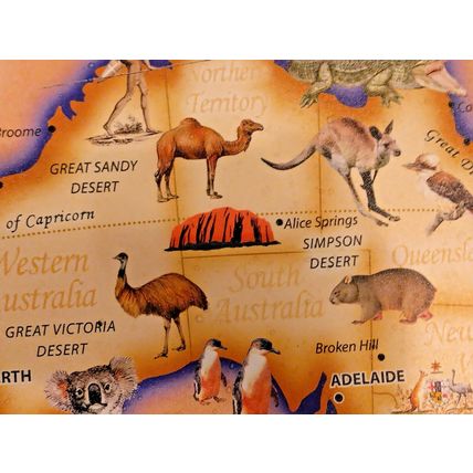 Australia 14 X 20 Illustrated Country Map On Canvas Wood Framed Oceans & Sealife