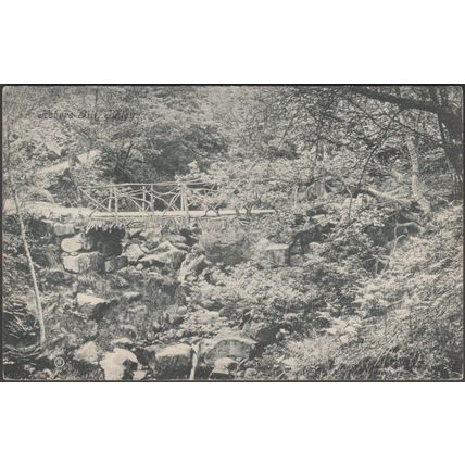Hebers Gill, Ilkley, Yorkshire, 1907 - Valentine's Postcard