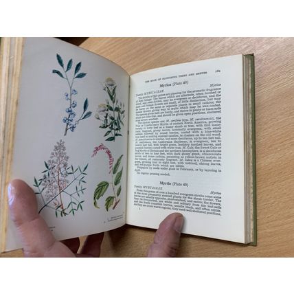 1967 THE BOOK OF FLOWERING TREES AND SHRUBS ILLUSTRATED HARDBACK BOOK (P3)