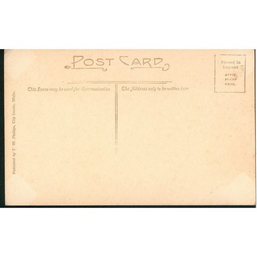 Vintage T.W. Phillips Postcard - Wells Cathedral, Somerset - West Front