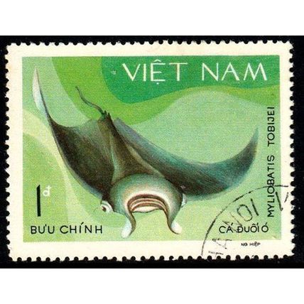 Vietnam 1980 Marine Life Fish 1d Used Stamp Stingray Manta Ray