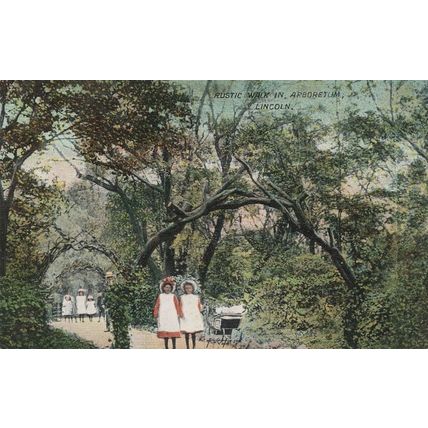 Rustic Walk in Lincoln Childrens Prams Fashion Old Postcard