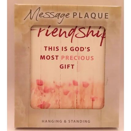 Friendship Plaque Wall & Standing This is Gods Most Precious Gift Christian