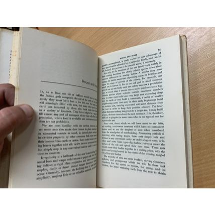 1967 "ANTS OBSERVED" SCIENTIFIC BOOK CLUB VINTAGE HARDBACK BOOK (P3)