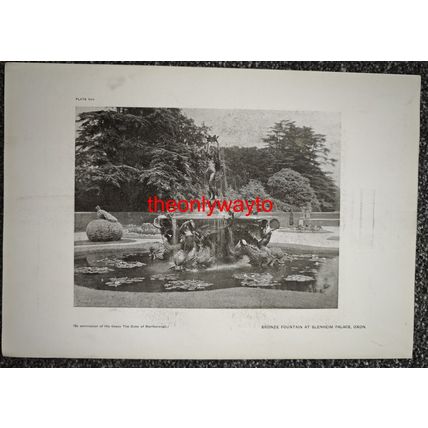 ROSE GARDEN, BLENHEIM PALACE OXON, (More, Reverse), Book Illustration (Print)