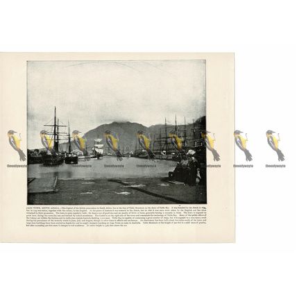 Cape Town, South Africa, Book Illustration (Print), 1899