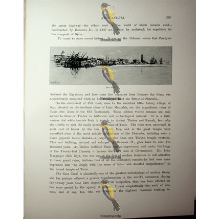Port Said, Egypt, Book Illustration (Print), 1890