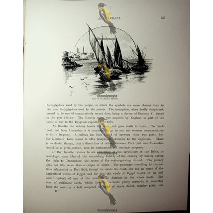 Eastern Harbour, Alexandria, Egypt, Book Illustration (Print), 1890