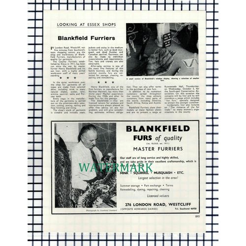 (7663) Henry Blankfield Furriers Westcliff Essex - 1966 Cutting
