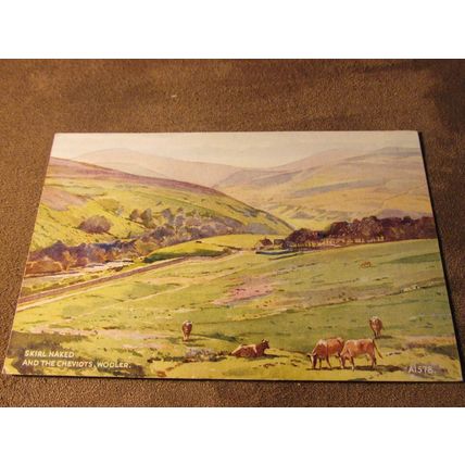 Valentines Postcard - Skirl Naked Nr Wooler Northumberland - Artist Hailey A1578