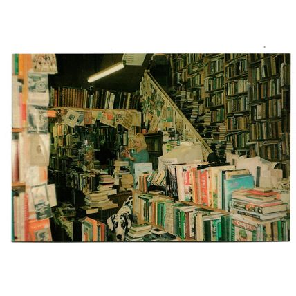 Postcard UK England Sussex Eastbourne Camilla's Bookshop lady & dalmation