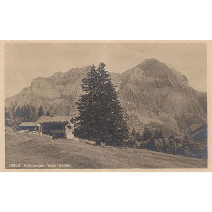 Adelboden Schirmtanne Switzerland Postcard
