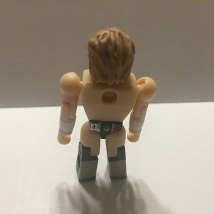 New C3 WWE Superstar Daniel Bryan