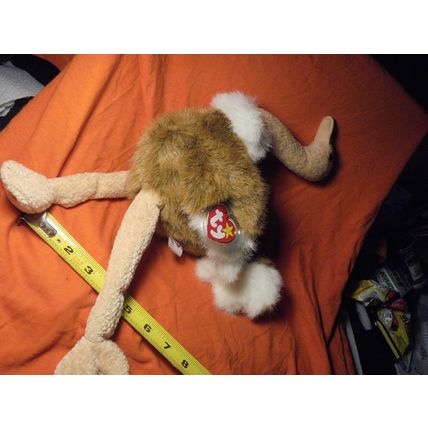 Thanksgiving is Covered!! TY TURKEY 16" Tall PLUSH DOLL! $10.00 or Best Offer!!