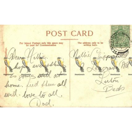 Ecclesbour Glen, Hastings, No 10 Mossman Postcard, 1908