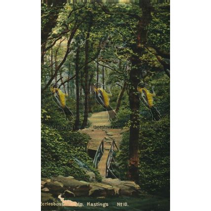 Ecclesbour Glen, Hastings, No 10 Mossman Postcard, 1908