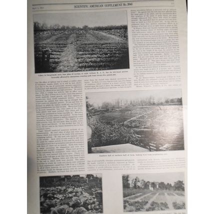 Scientific American Supplement April 3, 1915. Zeppelins; Projectile Photography