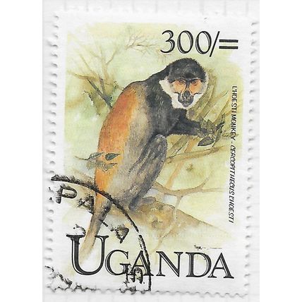 UGANDA 1999 L'HOESTI MONKEY MAMMAL PRIMATE FAUNA 300/- USED