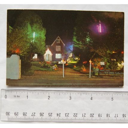 1973 postcard Illuminated Coral Gardens, Godshill, Isle of Wight