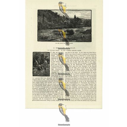 Lesse River Near Anseremme, Dinant, Belgium, Book Illustration (Print), 1884