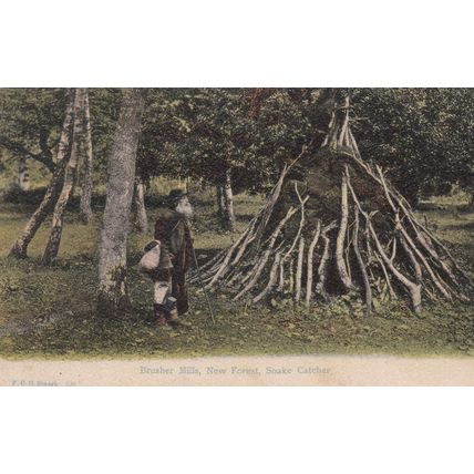 ED 201 NEW FOREST - BRUSHER MILL- SNAKE CATCHER . FGO PRINTED POSTCARD