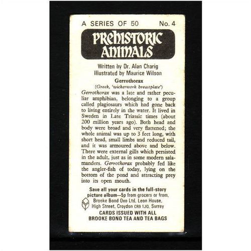 Brook Bond Prehistoric Animals Gerrothorax No 4 Mint