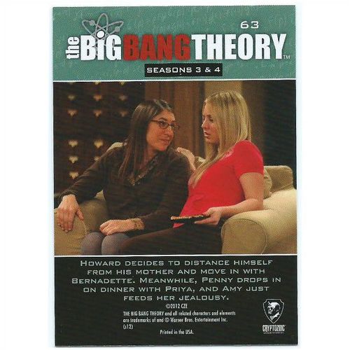 The Big Bang Theory Seasons 3 & 4 - #63