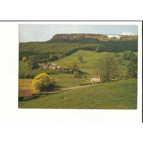Yorkshire KILBURN White Horse Postcard by Judges (C6936)