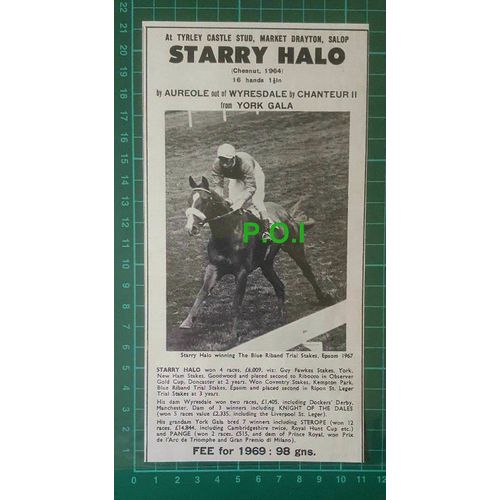 C2607) Starry Halo Horse Tyrley Castle Stud Wyresdale - 1968 Clip