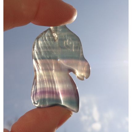 A Fluorite Horse Head Gemstone Touch Stone 1.75x1.125 Flat Back Energy Work