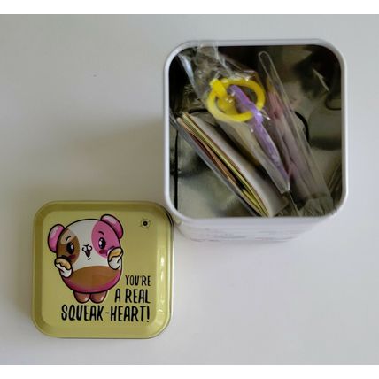 Pikmi Surprise Tins / New Sealed Tins 'You Pick' One