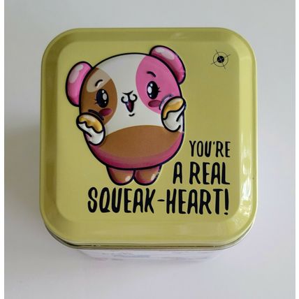 Pikmi Surprise Tins / New Sealed Tins 'You Pick' One
