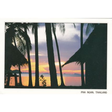 Pha Ngan Thongsala Sunset Thailand Postcard 1995 used VGC