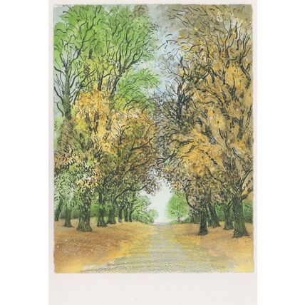 Regents Park Broad Walk Chestnut Trees London Painting Postcard