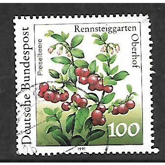 GERMANY 1991 PLANTS 100pf CRANBERRY SG 2353 FINE USED