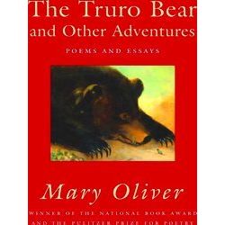 The Truro Bear And Other Adventures
