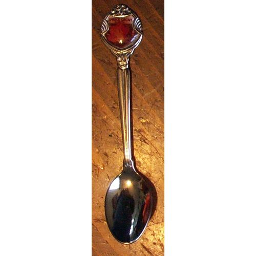 Spruce Grove Alberta Canada Souvenir Teaspoon Tea Spoon Wild Rose